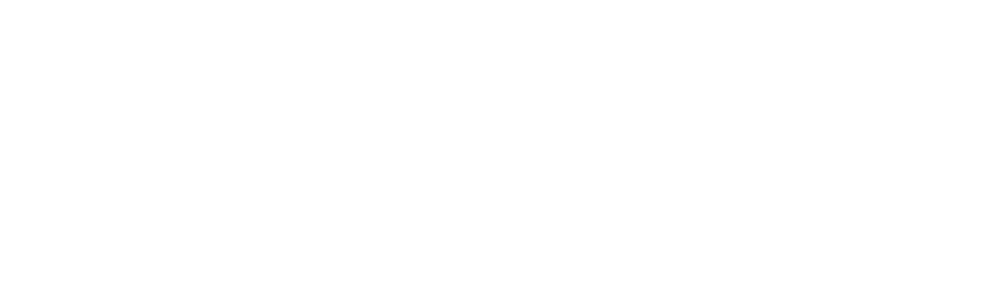 TIGER Kleinreparaturen
